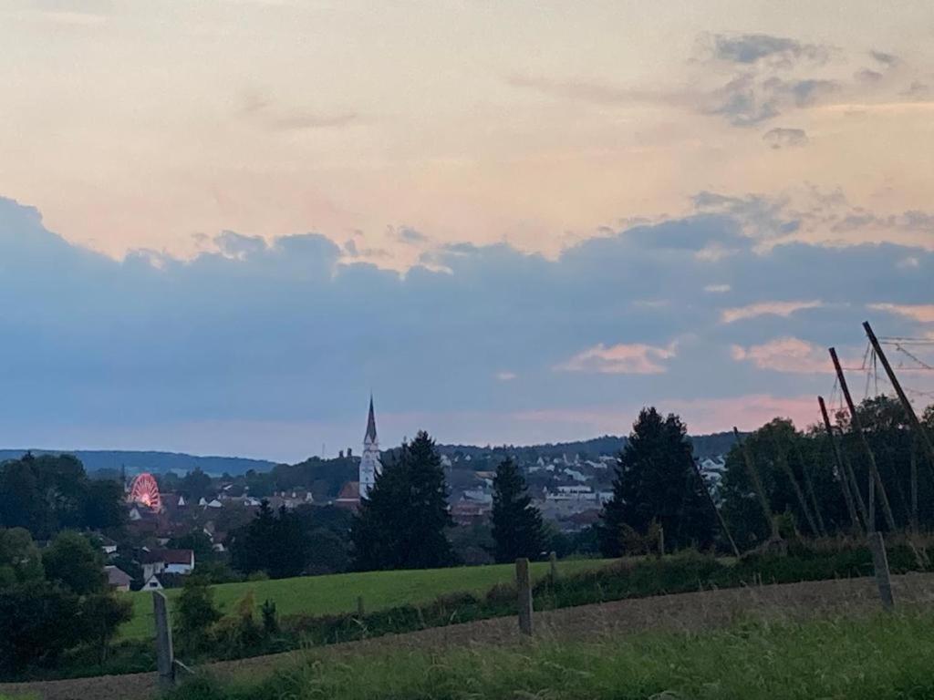 Oekohotel Aus Holz Alea Eco Pfaffenhofen an der Ilm Extérieur photo